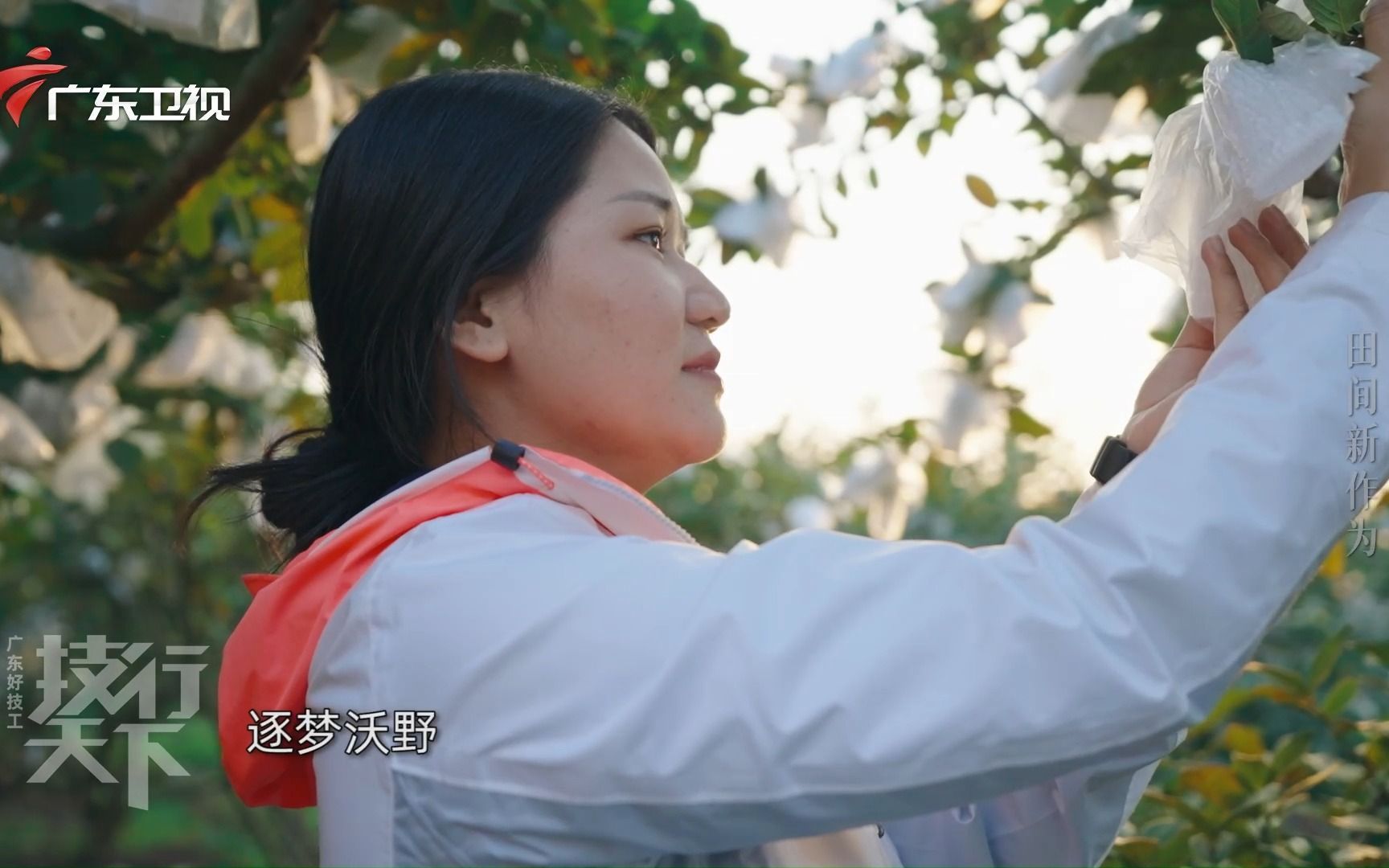 选番石榴、开拖拉机……90后的新工作很接“地气”