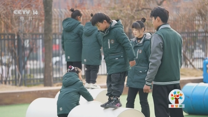 《智慧树》 20260304