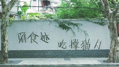 觅食迹 觅食迹之吃撑猫力