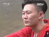 走近科学 《走近科学》 20151026 寻找高原红景天