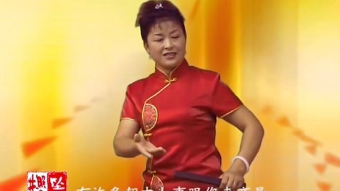 河南坠子 朱云阁 坠子书 王华后传