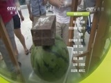 我爱发明 《我爱发明》 20160628 捕鼠特工