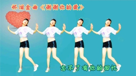 一曲经典音乐伴新舞《DJ谢谢你的爱》感谢您的陪伴