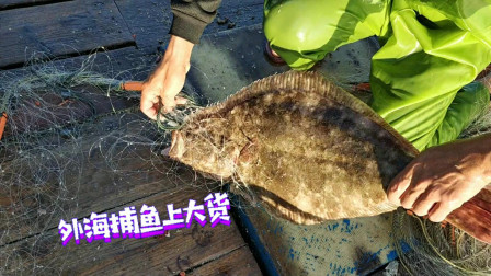 南澳岛赶海日记 小伙出海放几千米网，奋斗16小时收获满满，大海螺就卖了900元