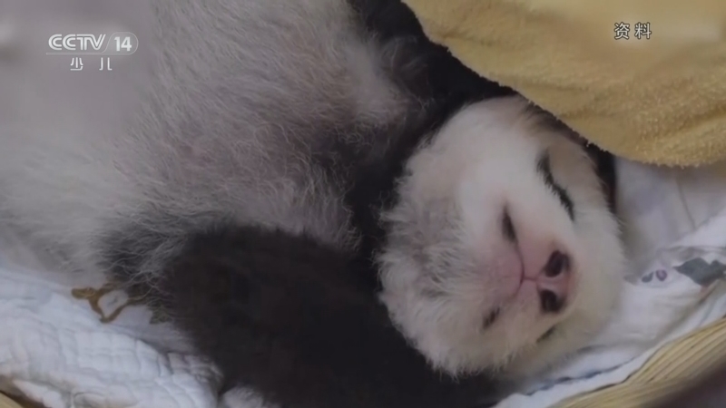 《快乐体验》 20251127 地理研究所之哺乳动物的秘密