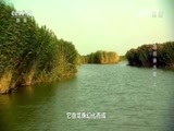 地理中国 《地理中国》 20170814 水下谜团·湖底袭击者（上）