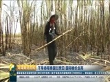 环球经济连线 《环球财经连线》 20160402