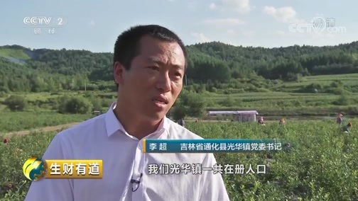 生财有道 《生财有道》 20181012 吉林通化县：生态旅游带来的财富