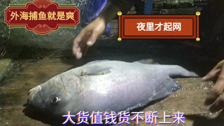 南澳岛赶海日记 渔民出海一次放3千米网，外海夜里捕鱼渔获真多，值钱货不断上网