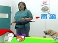 狗狗日记 第111天 谁是胆小鬼