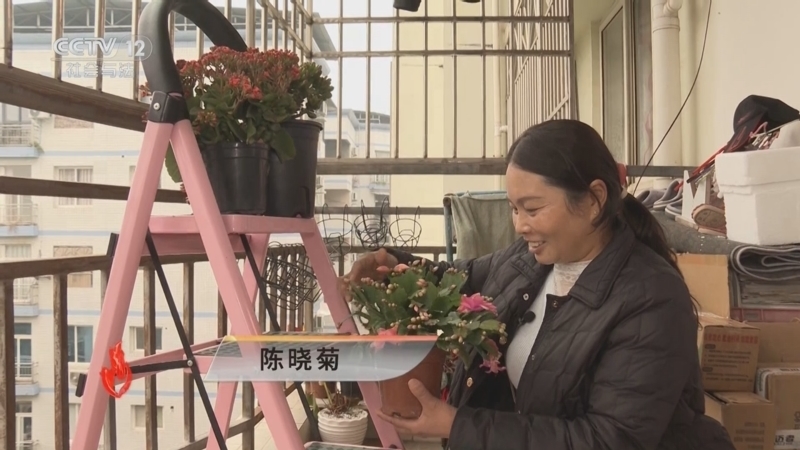 《道德观察(日播版)》 20251028 你在哪儿？消失的亲人