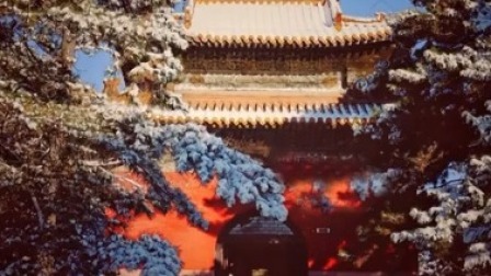 说天下 沈阳迎来初雪如诗如画 冬季到东北来看雪吧