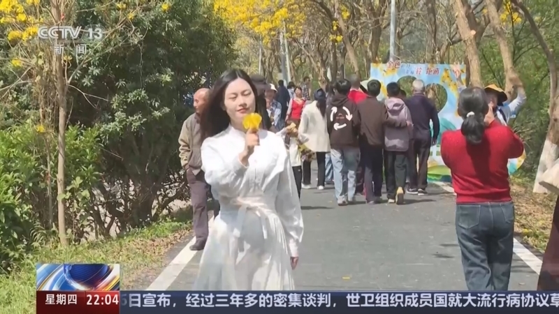 新闻1+1 《新闻1+1》 20250417 扩大服务消费，需要怎样的政策“组合拳”？