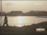 生财有道 [生财有道]青鱼背后的财富(20130301)