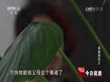 今日说法 《今日说法》 20160110 不变的信念