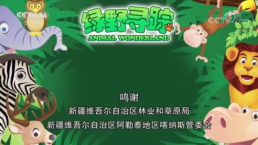 绿野寻踪 《绿野寻踪》 20190327 新疆之行