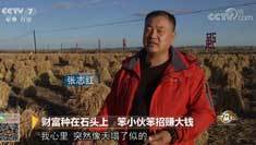 致富经 [致富经]财富种在石头上 笨小伙笨招赚大钱 20181204