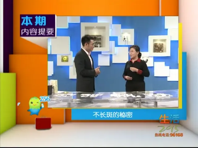 《生活这一刻 2015》第6期