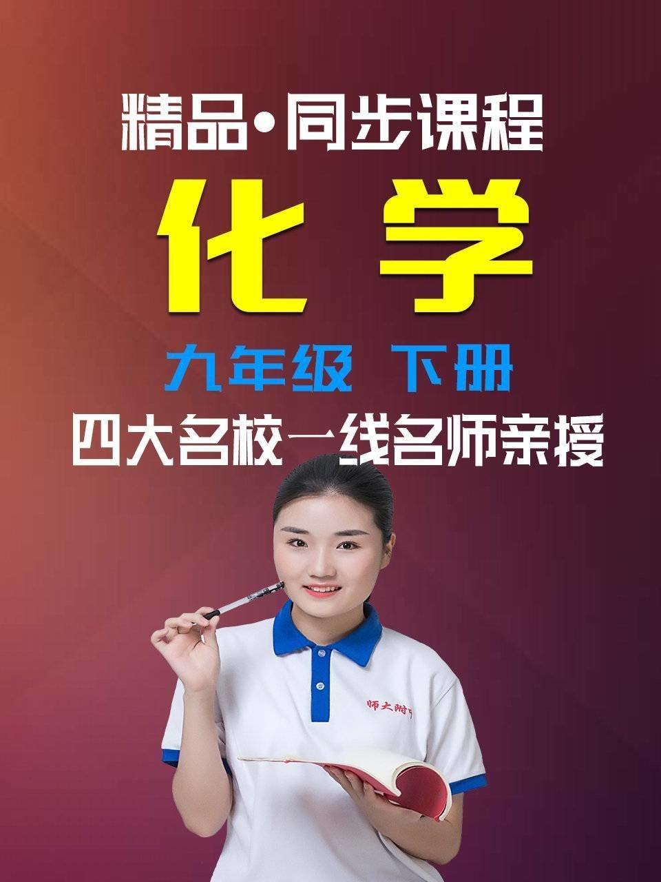 精品·同步课程 化学 九年级 下册