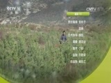 我爱发明 《我爱发明》 20161209 鼠进无出