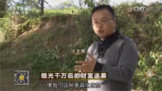 致富经 [致富经]赔光千万后的财富逆袭 20160718