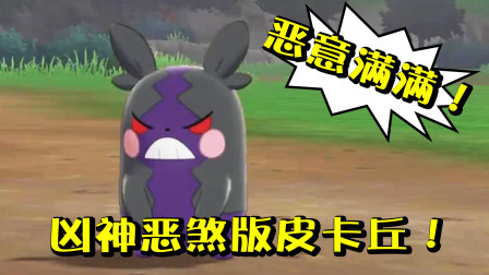 酷爱精灵宝可梦 第一季 邪恶版的皮卡丘凶相毕露？玛俐只是看起来坏坏的！