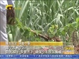 广西新闻 《广西新闻》 20160724