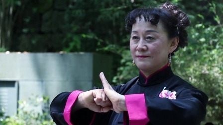 南拳之套路四讲解