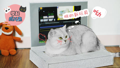 举起爪儿来 教你做趣味电脑猫抓板