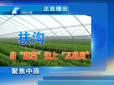 聚焦中原 《聚焦中原》 20150513 河南扶沟：当“蔬菜”遇上“互联网”