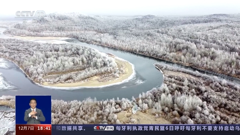 共同关注 《共同关注》 20231207