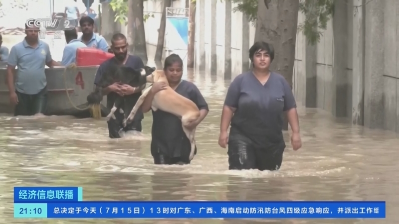 经济信息联播 《经济信息联播》 20230715