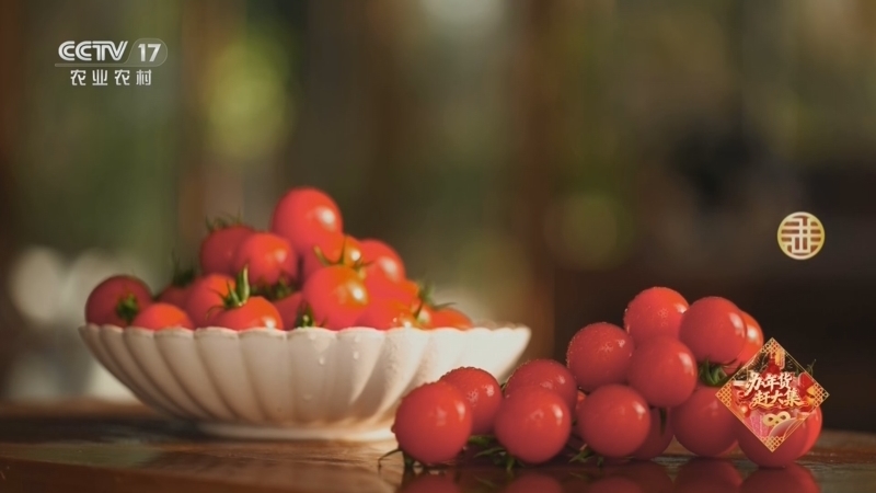 《谁知盘中餐》 20260213 食暖幸福年 年味飘香处 振兴正当时