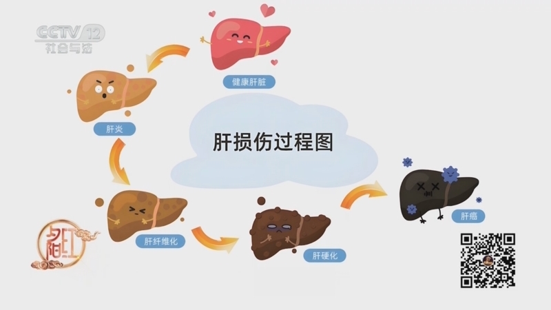 夕阳红 《夕阳红》 20250228 春季养肝好“时机”——如何远离肝癌隐患？