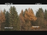 生财有道 《生财有道》 20150203 五花山中野猪林