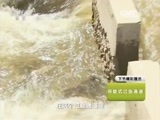 走近科学 《走近科学》 20150818 神奇鱼道