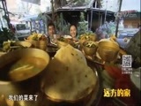 远方的家 《远方的家》 特别节目——亲历“一带一路” 加德满都记忆 20180217