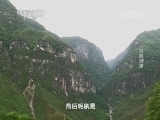 走近科学 《走近科学》 20140626 古洞迷津