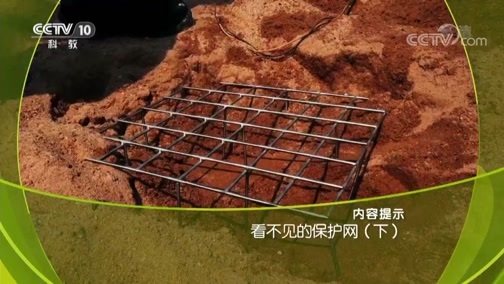 走近科学 《走近科学》 20190530 看不见的保护网（下）