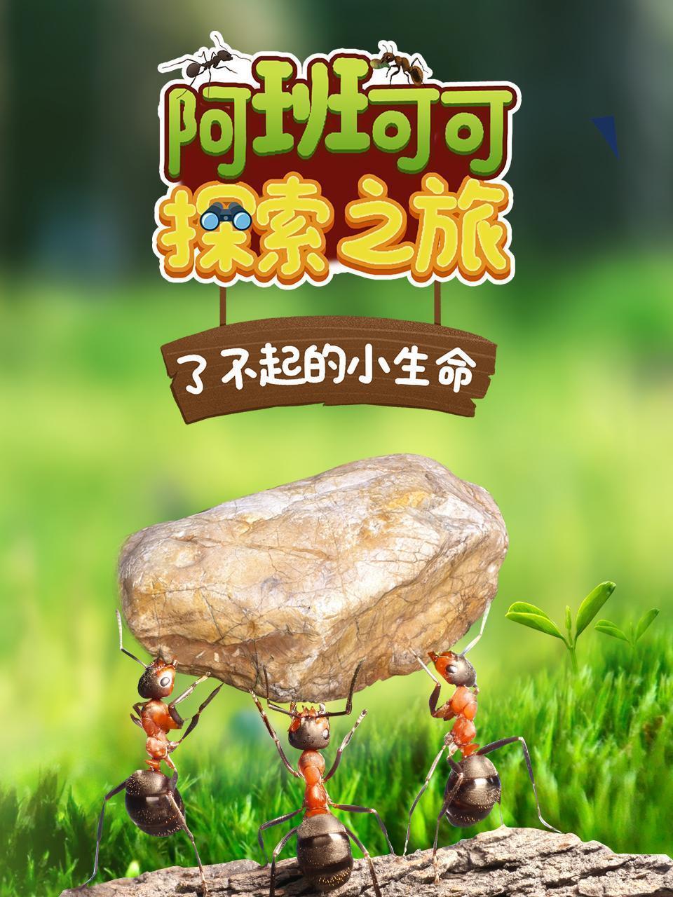 阿班可可探索之旅-了不起的小生命