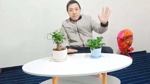 唱罢吹灯 大哥100元网购小桌子，迫不及待打开后心花怒放，这价格贵不贵