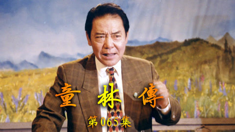 单田芳评书&mdash;&mdash;童林传 单田芳评书——童林传065集