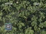 我爱发明 《我爱发明》 20140816 灭害喷泉