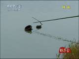 地球密码（周末精编节目） 周末精编节目 2010年 第123期