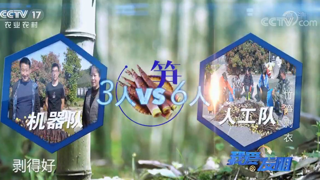 我爱发明 《我爱发明》 20200522 竹笋剥衣