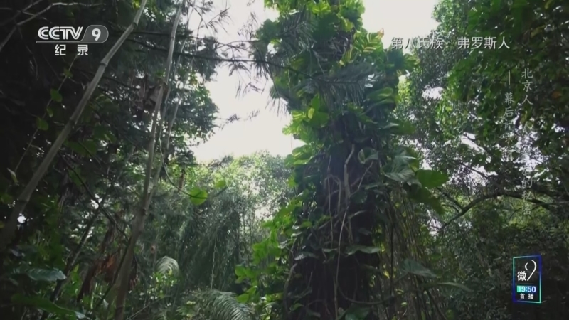 《北京人 人类最后的秘密》 幕后记录 第4集