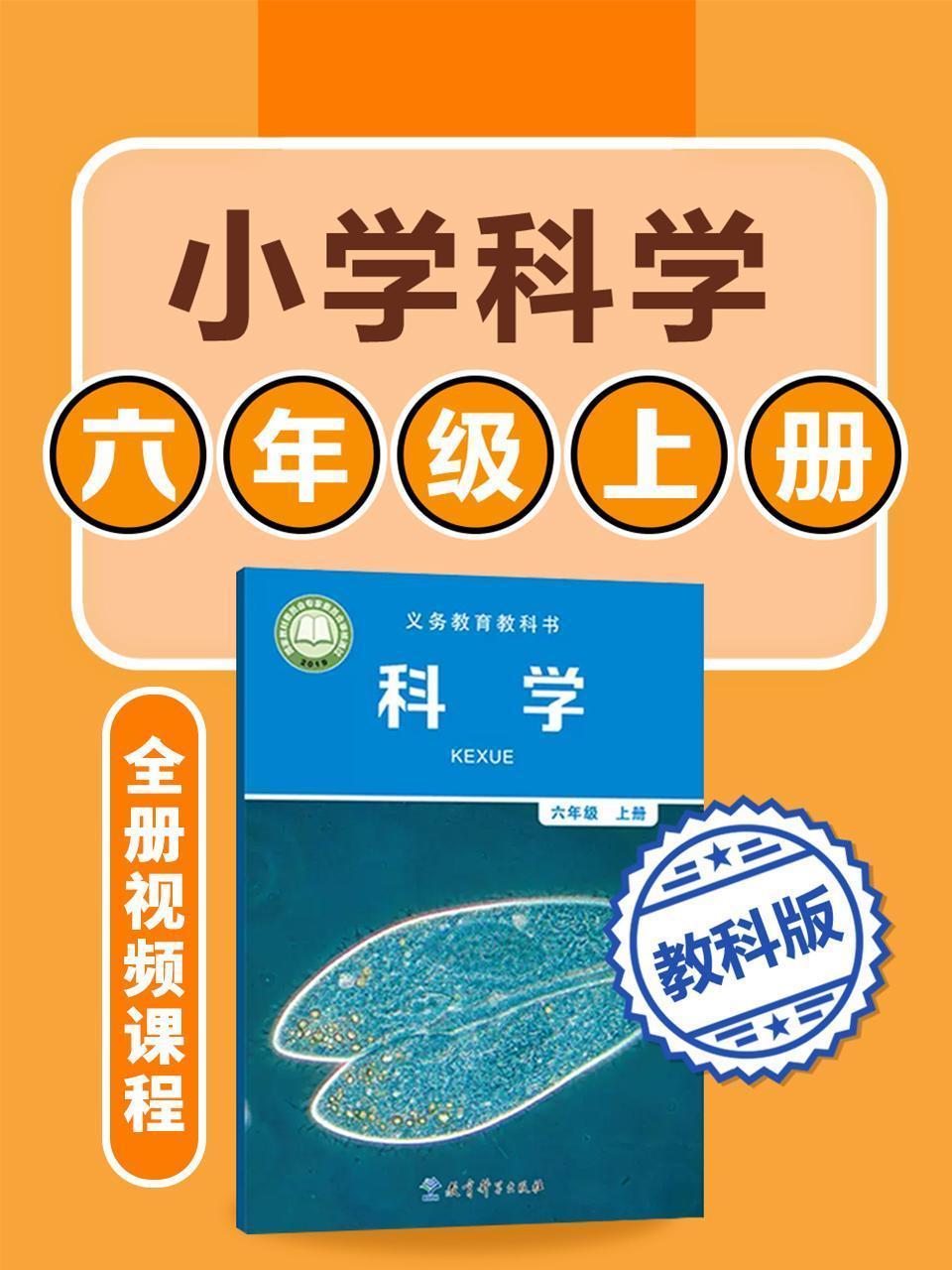 小学科学 教科版六年级上册全册视频课程