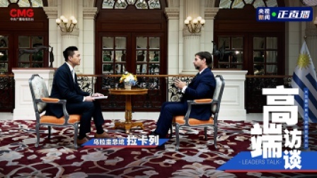 高端访谈 高端访谈