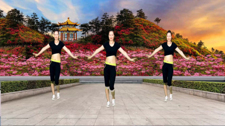 广场舞《信天游》经典怀旧陕北民歌，唱尽浓浓乡土情