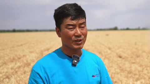 种植前线2025 种植前线之冬小麦实现高产目标 解锁边疆麦浪的丰收密码
